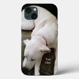 Case-Mate iPhone Case Mélange Labrador Chien Chien Chien Chien Mélange B