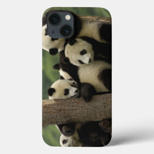 Etui iPhone Case-Mate Melanoleuca d'Ailuropoda de bébés de panda géant)