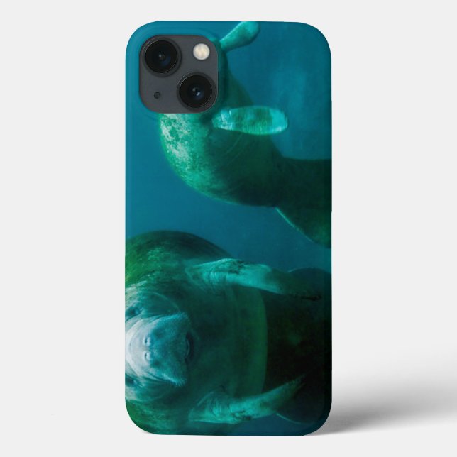 Coques Case-Mate iPhone Mère mangea avec son veau à Crystal River (Verso)