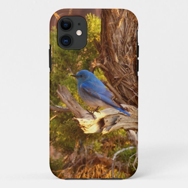 Coques Case-Mate iPhone Merlebleu montagnard dans le parc national d'Arche (Dos)