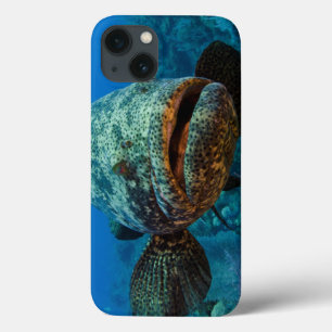 iPhone 13 Case Mérou atlantique de Goliath