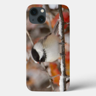 Case-Mate iPhone Case Mésange à tête noire adulte dans la neige