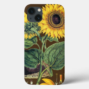 iPhone 13 Coque Miller : Tournesol