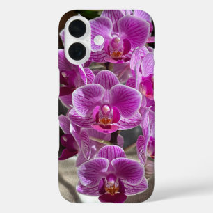 Coque Pour iPhone 16 Mini Phalaenopsis Sogo Vivien Orchidée violet