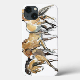 iPhone 13 Case Mistral Three