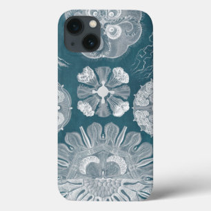 iPhone 13 Coque Modèle IV de vie marine