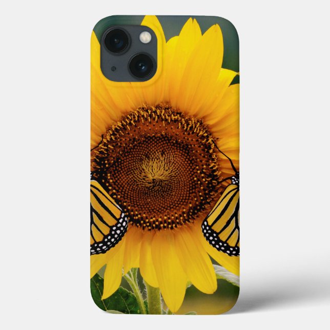Coques Case-Mate iPhone Monarque Butterfies sur Tournesol (Verso)