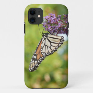 Coques Pour iPhone Monarque papillon sur Buddleia pourpre