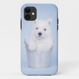Coque iPhone 11 Montagne Terrier blanc occidentale