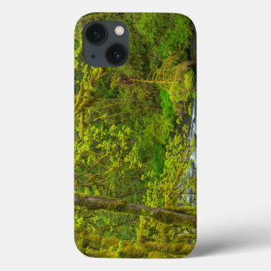 Coques Pour iPhone Mossy Rocks And Trees Line Eagle Creek