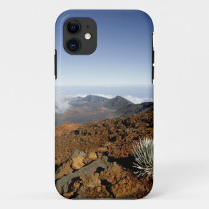 Coque iPhone 11 Mot d'argent sur la rime du cratère de Haleakala d