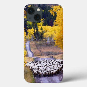Coques Pour iPhone Mouton sur Country Road