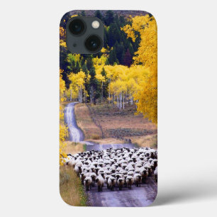 iPhone 13 Case Mouton sur Country Road