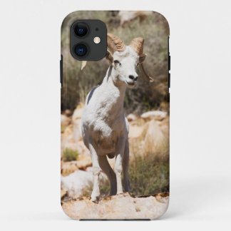 Coques Pour iPhone Moutons blancs de la famille