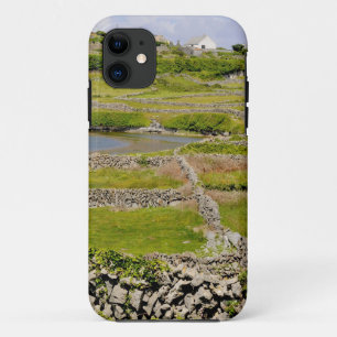 Coque iPhone 11 Murs de pierre d'Irlande
