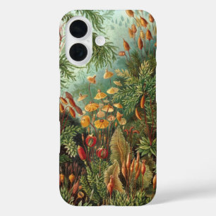 Coque Pour iPhone 16 Muscinae vintage, plantes de mousse par Ernst Haec