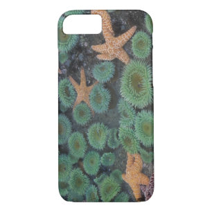 Coque Case-Mate Pour iPhone N.A., États-Unis, Washington, Parc National Olympi