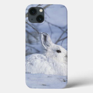 Coques Pour iPhone Na, Etats-Unis, Alaska. Faune nationale arctique