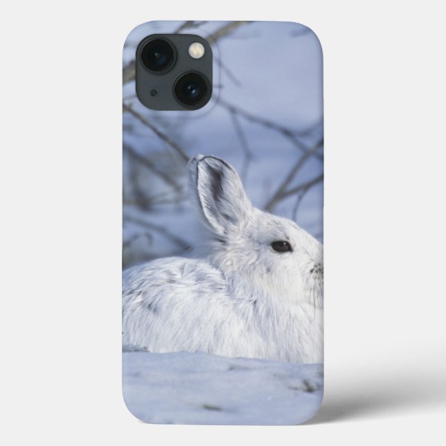 Coques Case-Mate iPhone Na, Etats-Unis, Alaska. Faune nationale arctique (Verso)