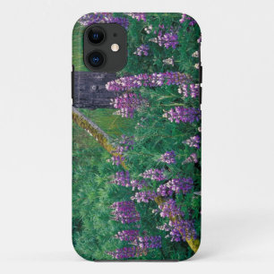 Coque iPhone 11 NA, États-Unis, Alaska, Îles Aléoutiennes, Unalask