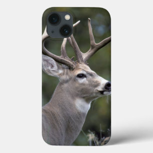 Etui iPhone Case-Mate NA, États-Unis, État de Washington, cerf de Virgin