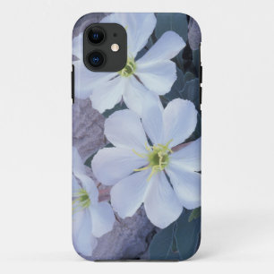 Etui iPhone Case-Mate NA, États-Unis, Utah, Parc national des Arches, On