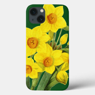 iPhone 13 Case Narcissus (N Tazetta)