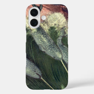 Coque Pour iPhone 16 Narwhals vintages, Vie Marine Baleines Animaux mar