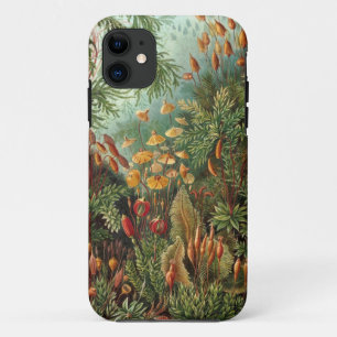 Coque Case-Mate Pour iPhone Nature vintage Art 5