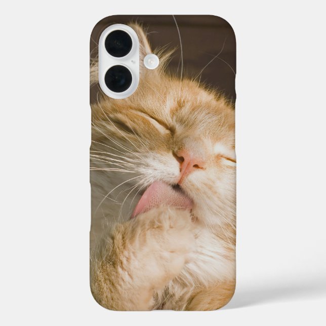 Coques Case-Mate iPhone Nettoyage | Photo de fermeture du chat Maine Coon (Verso)
