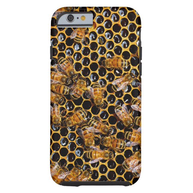 Coques Case-Mate iPhone Nid d'abeilles et abeilles (Dos)