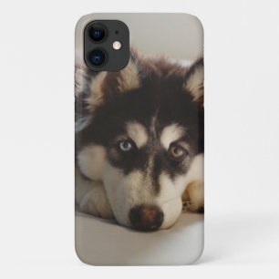 Case-Mate iPhone Case Noir et blanc sibérien