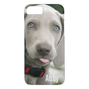 Coques Pour iPhone Nom personnalisé de photo de chien de Weimaraner