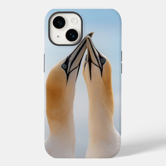 Coques Case-Mate iPhone Northern Gannet Seabird Coque-Mate iPhone 14 (Verso)