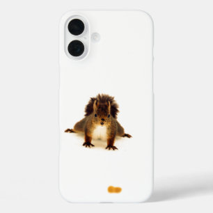 Coques iPhone 16 Plus Nosy mignon écureuil rouge blanc