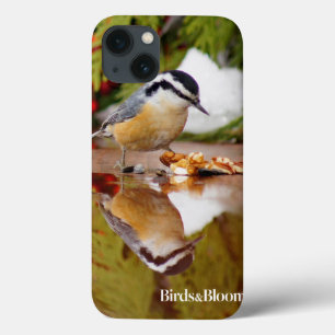 iPhone 13 Coque Nuthatch à poitrine rouge