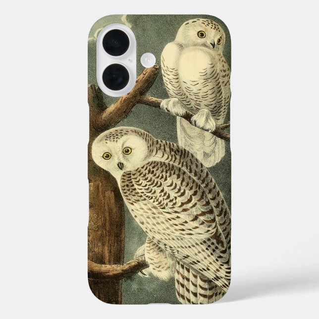 Coques Case-Mate iPhone OEuvre d'OEuf Audubon (Verso)
