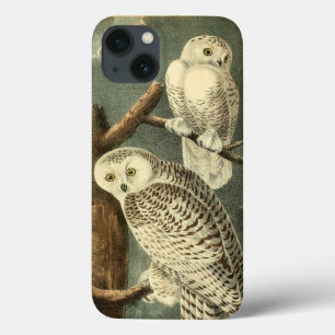 iPhone 13 Coque OEuvre d'OEuf Audubon