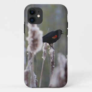 Etui iPhone Case-Mate Oiseau à ailes rouges (Agelaius phoeniceus)