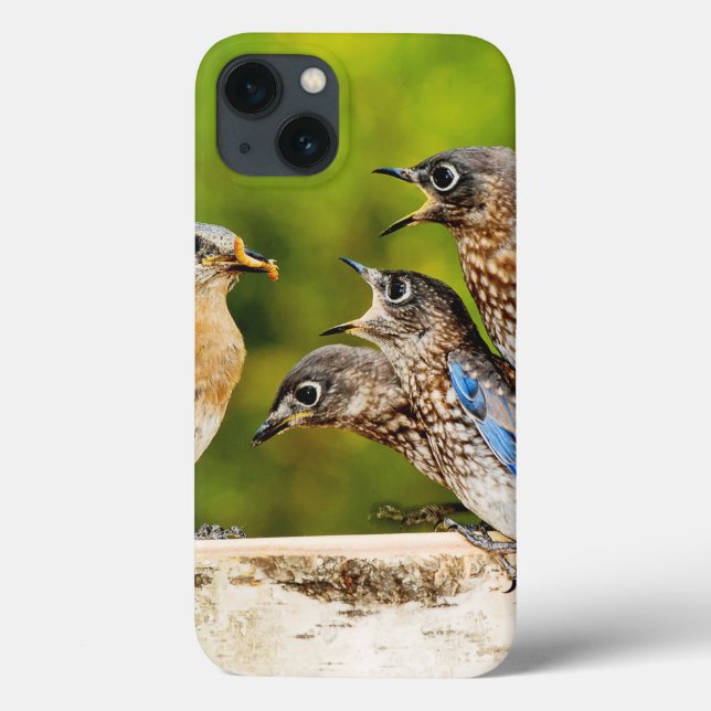 Coques Case-Mate iPhone Oiseau bleu oriental (Verso)