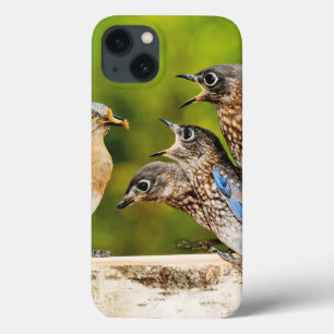 Coques Pour iPhone Oiseau bleu oriental