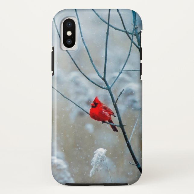 Coques Case-Mate iPhone Oiseau cardinal rouge en hiver gelé et neige (Dos)