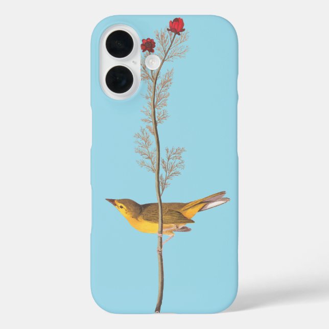 Coques Case-Mate iPhone Oiseau de Paruline à capuchon Audubon sur Fleur ro (Verso)