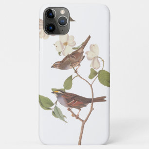 Case-Mate iPhone Case Oiseaux d'Audubon du Bruant à gorge blanche en Dog