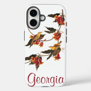 Coque Pour iPhone 16 Oiseaux de la Paruline d'Audubon sur la crosse