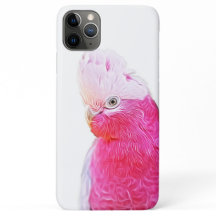 Oiseaux de perroquets lumineux