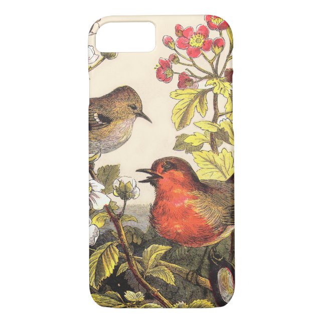 Coques Case-Mate iPhone Oiseaux de printemps Robin Oiseaux rouges (Dos)