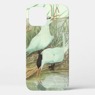 Coque iPhone 12 Oiseaux de rivage vintage dans un marais par Louis