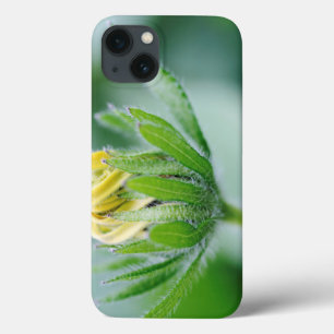 Etui iPhone Case-Mate Opening Flower Of Cone Flower