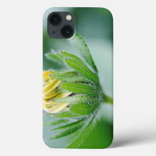 iPhone 13 Coque Opening Flower Of Cone Flower